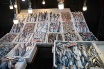 Av Yasagindan Önceki Son Baliklar Tezgahlarda