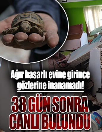 Hatay’da depremzede ağır hasarlı evine girdiğinde gözlerine inanamadı: Bu kadar enkazın içinde bizi mutlu etti