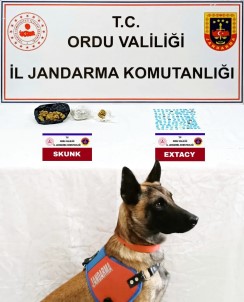 Ordu'da Jandarma Ekiplerinden Uyusturucu Ve Kaçak Tütün Operasyonu