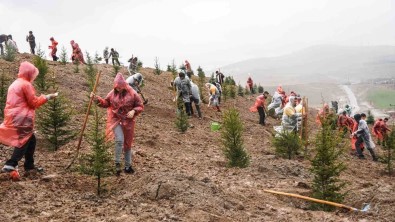 6 Subat 2023 Deprem Sehitleri Hatira Ormani'nda 435 Fidan Toprakla Bulustu