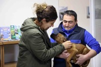 Depremzede Aile Ile Depremzede Köpegin Bulusma Ani