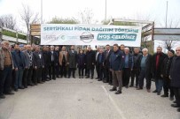 Sehitkamil, Yavuzeli Ve Araban Çiftçisine 50 Bin Fidan Dagitildi