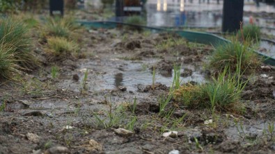 Yagmur Topraga Can Suyu, Çiftçiye Umut Oldu