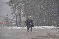 Abant'ta Tatilciler Lapa Lapa Yagan Karin Tadini Çikardi