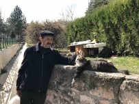(ÖZEL) Komsularinin Istemedigi Kedileri Için Parka Ev Yapti