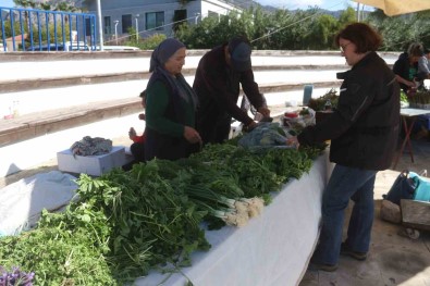 Göcek'te Ot Yemekleri Festivaline Ilgi Yogun Oldu