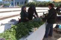 Göcek'te Ot Yemekleri Festivaline Ilgi Yogun Oldu