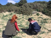 Jandarmadan 'Endemik Tür' Devriyesi