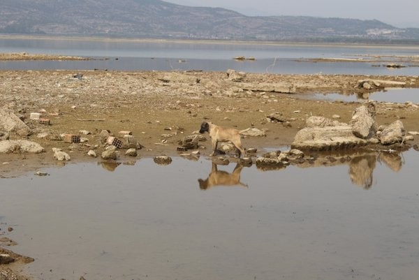 Uzmanlar uyardı: İzmir'de kuraklık sinyali! Su seviyesi düşünce ortaya bu görüntüler çıktı