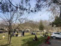 Güzel Havayi Gören Osmanelililer Parklara Akin Etti Haberi