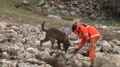 1,5 Yasindaki Zeynep Hassas Burunlu Köpek Ile Araniyor