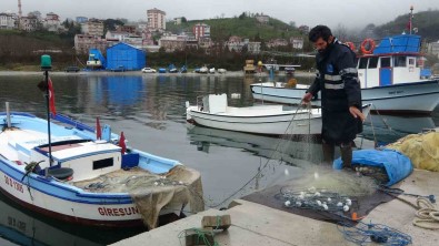 Arslan Açiklamasi 'Dogu Karadeniz Her Bir Yil Balik Avi Açisindan Verimsizlesiyor'
