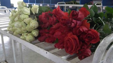 Yalova'daki Süs Bitkileri Ihracatinda Yüzde 90 Artis