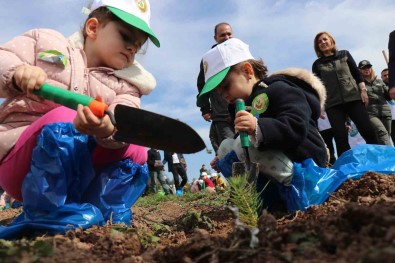 Deprem Sehitleri Anisina 3 Bin 900 Fidan Toprakla Bulustu