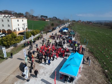 Sinop'ta '6 Subat Deprem Sehitleri Hatira Ormani' Fidan Dikim Töreni