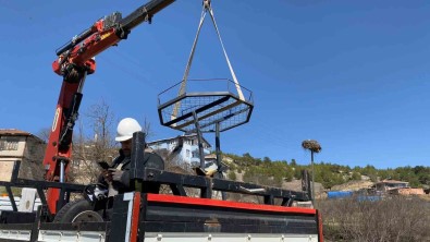 Leylek Ölümlerini Azaltmak Için Elektrik Direklerine Özel Yuvalar Taktilar
