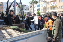 Türkeli'de Vatandaslara 6 Bin Fidan Dagitildi