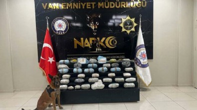 Van'da 'Bobi' ile aramada 31 kilo 770 gram uyuşturucu ele geçirildi