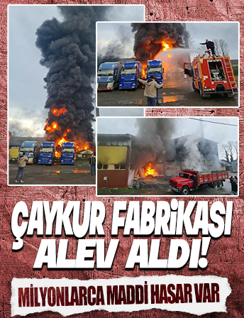 Artvin'de çay fabrikasında yangın