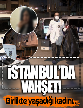 İstanbul'da vahşet: Birlikte yaşadığı kadını taşla öldürüp parçalara ayırdı!