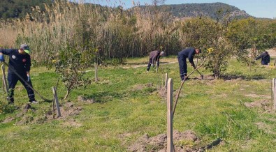 Ortaca'da Çevre Temizlik Ve Düzenlemesi Devam Ediyor