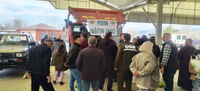 Hisarcik'ta 3 Bin 500 Fidan Dagitildi