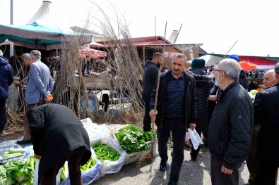Erzincan'da Meyve Fidani Satisi Basladi