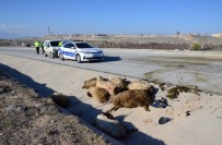 Karaman'da Iki Motosiklet Koyun Sürüsüne Çarpti Açiklamasi 3 Yarali Haberi