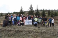 Orman Haftasi Kutlamasinda 250 Fidan Dikildi