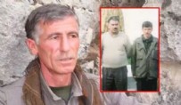  FAZIL BOTAN - PKK/YPG'nin elebaşlarından Fazıl Botan, Fransa'da öldü