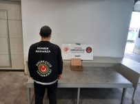 Sarp Sinir Kapisi'nda 250 Adet Su Kaplumbagasi Ele Geçirildi