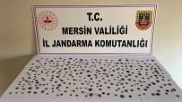 Mersin'de Roma Ve Bizans Dönemine Ait 345 Adet Tarihi Eser Ele Geçirildi