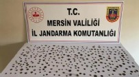 Mersin'de Roma ve Bizans dönemlerine ait 345 parça eser ele geçirildi