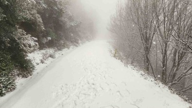 Yalova'da Yüksek Kesimler Kar Yagisiyla Beyaza Büründü