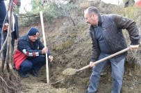 Iskilip Belediyesi Atil Arazileri Meyve Bahçesine Dönüstürüyor Haberi