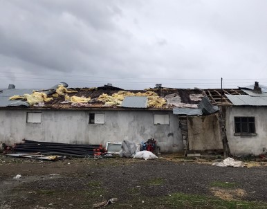 Firtinanin Çatisini Uçurdugu Ahirda 15 Kuzu Telef Oldu