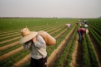 VAHIT KIRIŞÇI - Çiftçilere destek ödemeleri bugün yapılacak