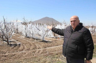 Dona Karsi Sulanan Elma Agaçlari Buzullari Aratmadi