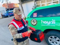 Yolcu Otobüsünde 15 Sincap Yavrusu Ele Geçirildi