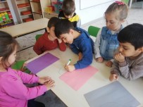 Ana Sinifinda Kodlama Etkinligi