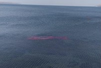 Rüzgarda Van Gölü'ne Düsen Dev Türk Bayragi Sahil Güvenlik Ekiplerince Çikarildi Haberi