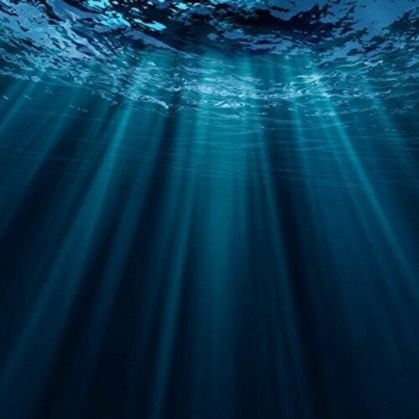 Derin denizlerde aranacak: Işığın olmadığı her yer didik didik edilecek