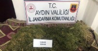 Aydın'da 15 kilo 'kubar' ele geçirildi