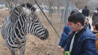 Depremzede Çocuklara Hayvanat Bahçesi Morali Haberi