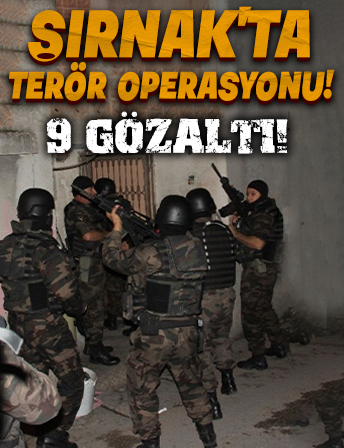 Şırnak’ta terör operasyonu: 9 gözaltı