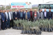 Manisali Üreticiye 150 Bin Fidan Destegi