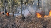 ORMAN YANGINI - Mersin'de orman yangını