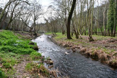 Tabiat Parkindaki Dere Temizlendi