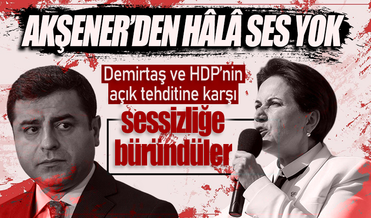 İYİ Parti’de Demirtaş sessizliği! Akşener’e açıktan ayar verdi... HDP ve Demirtaş’tan peş peşe zehir zemberek sözler
