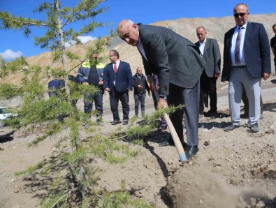 Konya Seker'den Büyük Çevre Dönüsümü, Atik Toplama Alani Agaçlandiriliyor